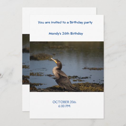 Dubbelborstaalscholver Kaart (Voorkant / Achterkant)