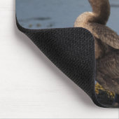 Dubbelborstaalscholver Muismat (Hoek)