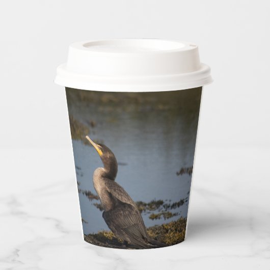 Dubbelborstaalscholver Papieren Bekers (Voorkant)