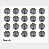 Dubbelborstaalscholver Ronde Sticker (Vel)