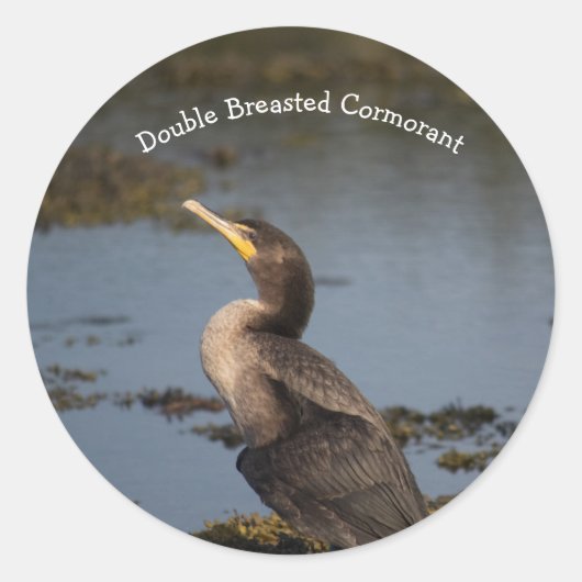 Dubbelborstaalscholver Ronde Sticker (Voorkant)