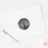 Dubbelborstaalscholver Ronde Sticker (Envelop)