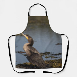 Dubbelborstaalscholver Schort