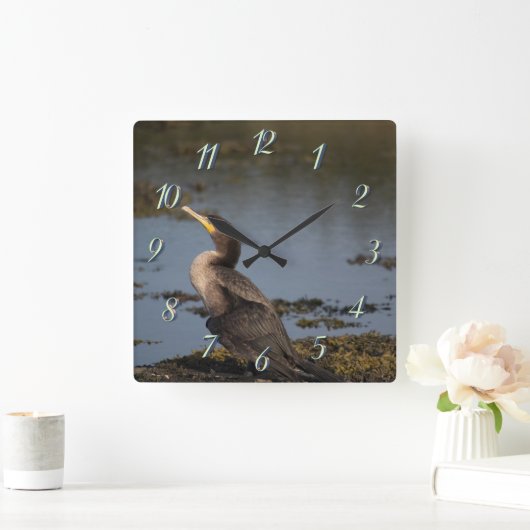 Dubbelborstaalscholver Vierkante Klok (Huis)