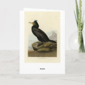 Dubbele aalscholvervogels in Amerika Kaart (Achterkant)