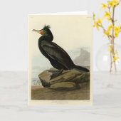 Dubbele aalscholvervogels in Amerika Kaart (Gele Bloem)