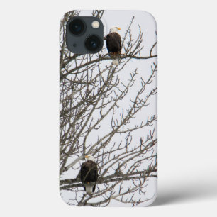Dubbele adelaar iPhone 13 hoesje