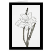 Dubbele affodil (Voorkant)