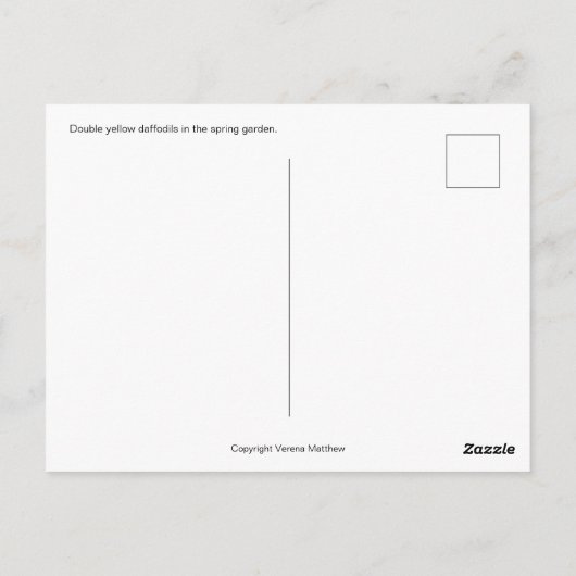 Dubbele affodils briefkaart (Achterkant)