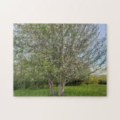 Dubbele appelbloesems boom legpuzzel (Horizontaal)