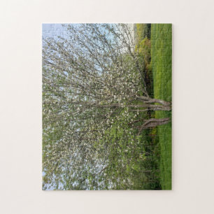Dubbele appelbloesems boom legpuzzel