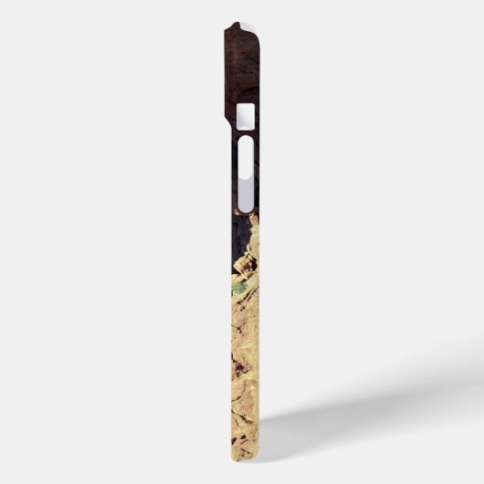 Dubbele Arch Case-Mate iPhone Case (Achterkant / Links)