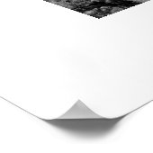 Dubbele Arch Poster (Hoek)