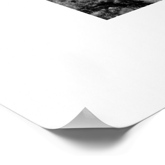 Dubbele Arch Poster (Hoek)