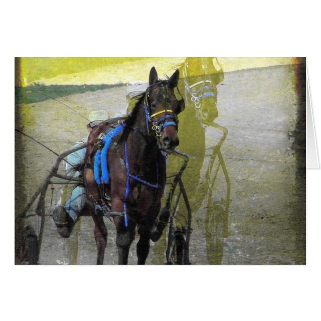 Dubbele blootstelling (Voorkant Horizontaal)