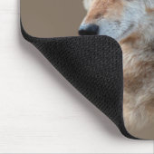 Dubbele blootstelling aan wolfkop muismat (Hoek)