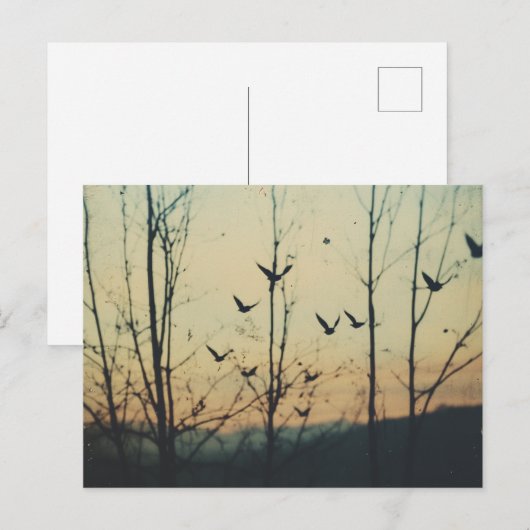 Dubbele blootstelling van vogels briefkaart (Voorkant / Achterkant)