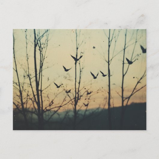 Dubbele blootstelling van vogels briefkaart (Voorkant)