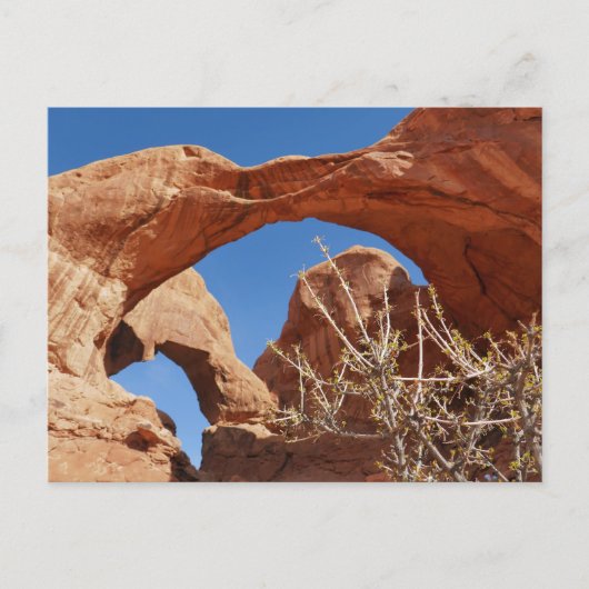 Dubbele boog in Arches National Park Briefkaart (Voorkant)