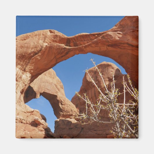 Dubbele Boog in Arches National Park Magneet (Voorkant)
