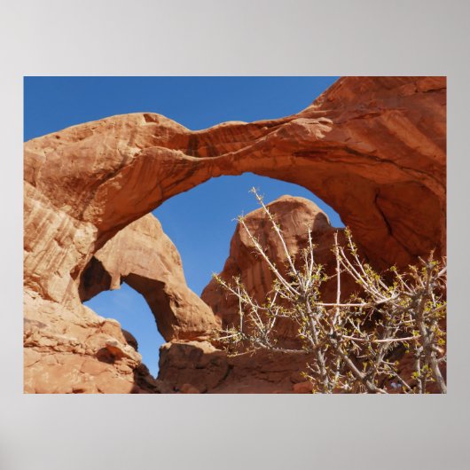 Dubbele boog in Arches National Park Poster (Voorkant)