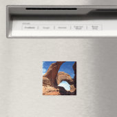 Dubbele Boogmagneet Magneet (Insitu (Vaatwasser))