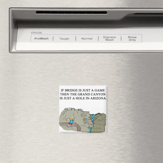 dubbele brugspeler magneet (Insitu (Vaatwasser))