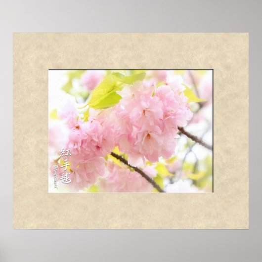 Dubbele Cherry Blossom: Benitemari Poster (Voorkant)