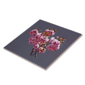 Dubbele Cherry Blossom Branches Tegeltje (Zijkant)