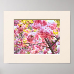 Dubbele Cherry Blossom: Matsumae-benimurasaki Poster