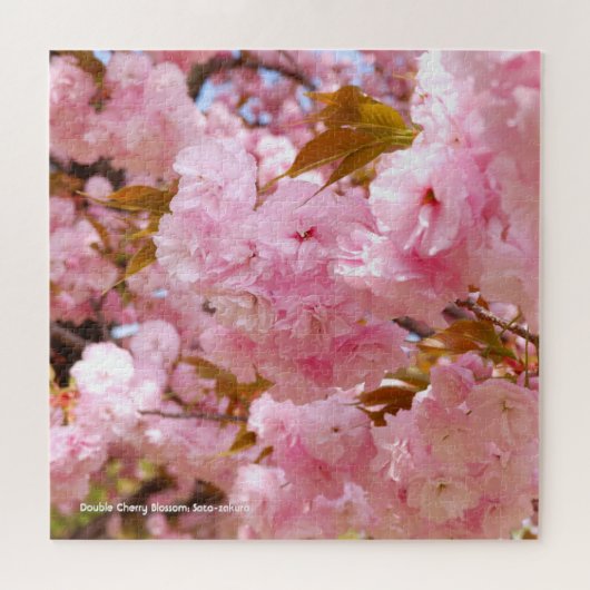 Dubbele Cherry Blossom: Sato-zakura Legpuzzel (Horizontaal)