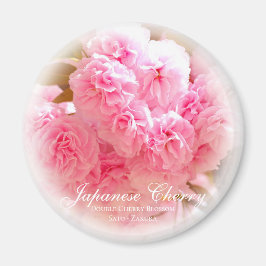 Dubbele Cherry Blossom: Sato-zakura Magneet