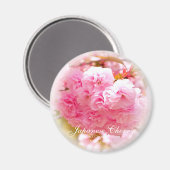 Dubbele Cherry Blossom: Sato-zakura Magneet (Voorkant / Achterkant)