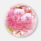 Dubbele Cherry Blossom: Sato-zakura Magneet (Voorkant)