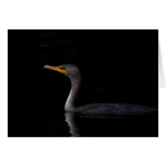 Dubbele Crested Cormorant 01