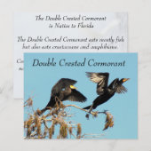 Dubbele Crested Cormorant - Briefkaart leren (Voorkant / Achterkant)