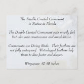 Dubbele Crested Cormorant - Briefkaart leren (Achterkant)