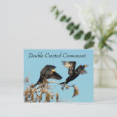 Dubbele Crested Cormorant - Briefkaart leren (Staand voorkant)