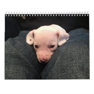 Dubbele Dachshund Agenda Kalender