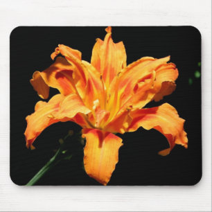 Dubbele dag Lily Muismat