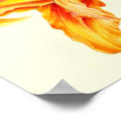 Dubbele daglelie Hemerocallis oranje waterverf Poster (Hoek)
