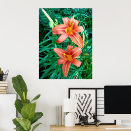 Dubbele daglelie oranje bloem foto print poster