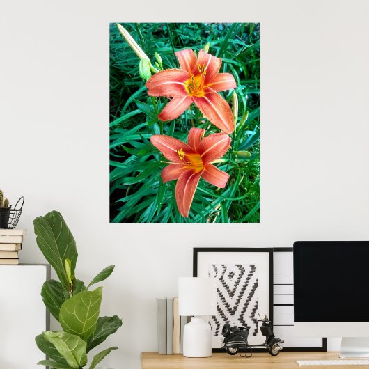 Dubbele daglelie oranje bloem foto print poster (Thuiskantoor)