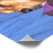 Dubbele Dog Tired Poster (Hoek)