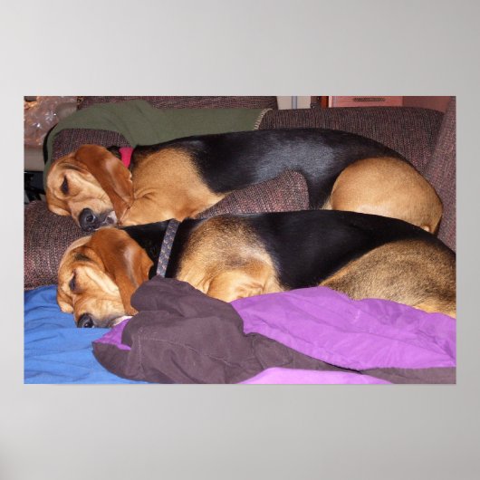 Dubbele Dog Tired Poster (Voorkant)