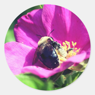 Dubbele duty bijen, ventilator ronde sticker