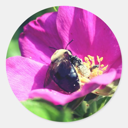 Dubbele duty bijen, ventilator ronde sticker (Voorkant)