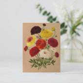 Dubbele Franse Ranunculus door Arentina Arendsen Briefkaart (Staand voorkant)
