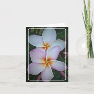 Dubbele Halo Plumeria Vouwkaart Kaart