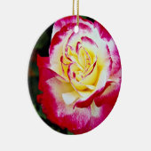 Dubbele hybride thee Roos "Andeli" Witte stroom Keramisch Ornament (Rechts)